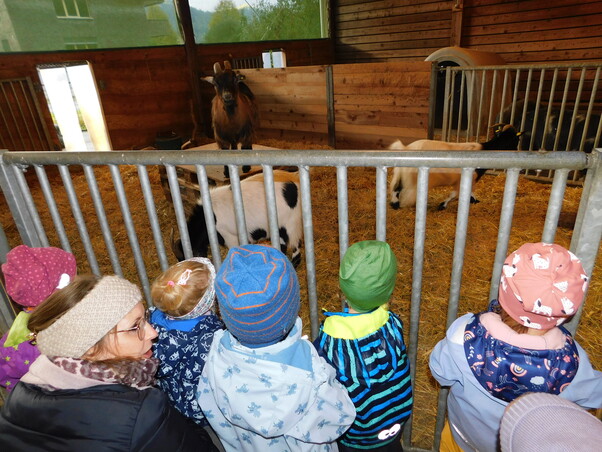 6 Kinder stehen mit einer Frau vor einem Ziegenstall. Im Stall sind 3 Ziegen.